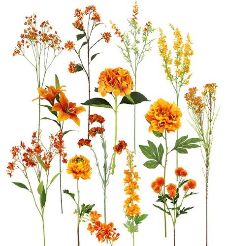 Top Quality Flowers